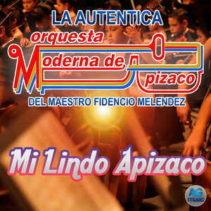 Mi Lindo Apizaco