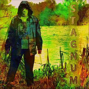 Stagnum