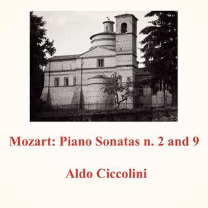 Piano Sonata No. 9 in D Major, K311:III. Rondo. Allegro