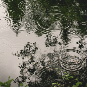 脑部放松/ASMR/森林雷雨/适合放松/睡觉/学习/冥想/深度治愈