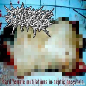 Anoplasmodium Infection And Vile Menstrual Malformation