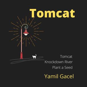 Tomcat