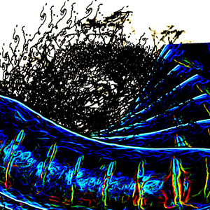 On Track for Dissolution