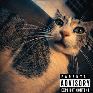 הגוףשלנו (feat. סול הגבר מלך נודר)