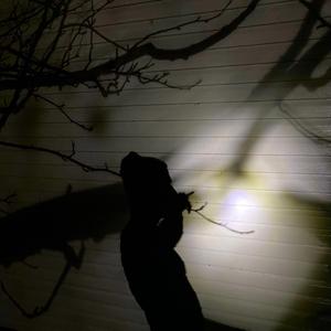 They're My Online Friends