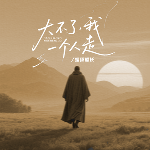 大不了我一个人走 (DJ版)