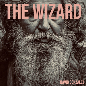 The Wizard