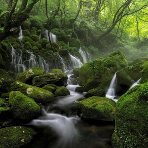 מוזיקת מדיטציה ומיינדפולנס