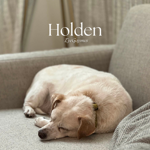 Holden