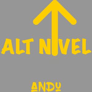 Alt Nivel