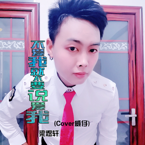 不爱我就不要说爱我 .(伴奏)（翻自 威仔）