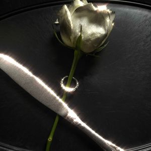 口水结 /prodbyMorrow/