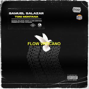 Flow Vaticano