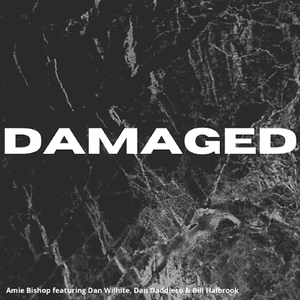 Damaged (feat. Dan Wilhite, Bill Halbrook & Dan Daddieco)