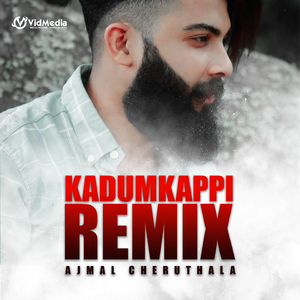 Kadumkappi Remix (Parayathe Parayunna)