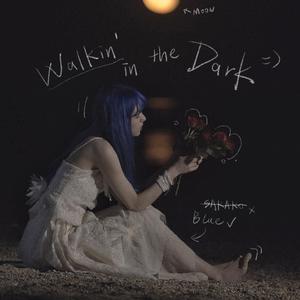 Walkin' in the Dark