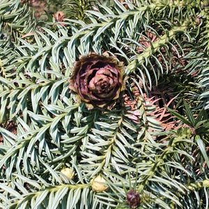 无题 Freestyle（Prod.Eee.T&Bickyboy）