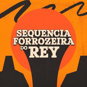 Sequencia Forrozeira do Rey