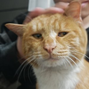 txmmy beats-DREAMER（哈基伟（发财版） remix）