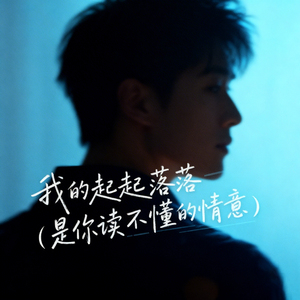 我的起起落落 (是你读不懂的情意)
