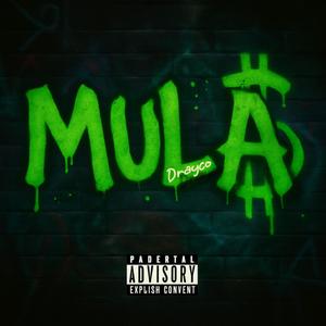 Mula