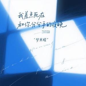 我差点死在和你分手的夜晚