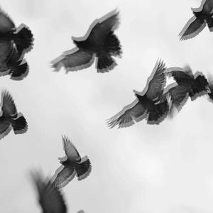 遗忘周 (Cover：郑润泽