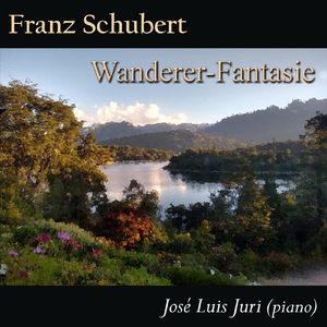Wanderer-Fantasie, D. 760: III. Presto