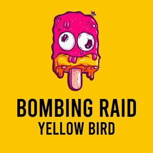 Bombing Raid