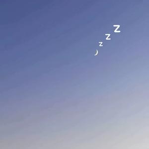 爱你的恶劣任性与眉眼