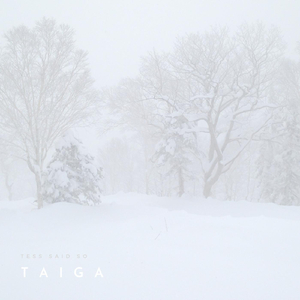 Taiga