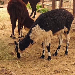 啥都莫得prod.Eee.T