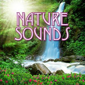 Mountainside Brook for Emotional Well Being and Relaxation