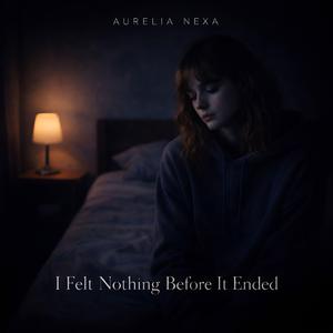 I Felt Nothing Before It Ended