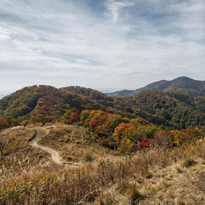 またどこかの空で