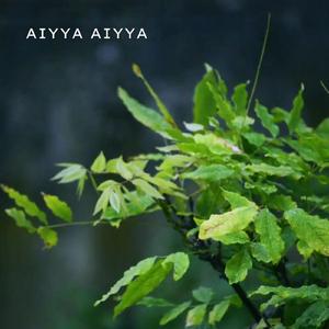 Aiyya Aiyya