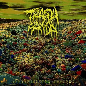 Opportunistic Feeding