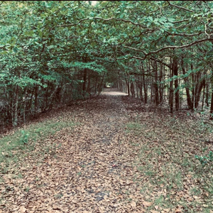 Feelings Buried Alive Don't Die