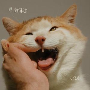 小傻瓜