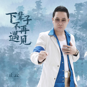 下辈子不再遇见 (DJ版)