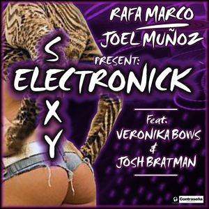 **** Elektronick
