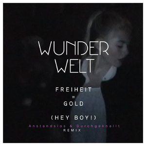 Freiheit = Gold (Hey Boy!) (Anstandslos & Durchgeknallt Remix)