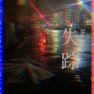 Shit So 失踪