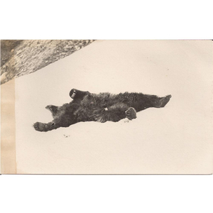 Love Will Tear Us Apart