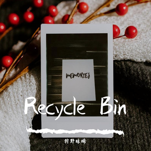 回收站（Recycle Bin）
