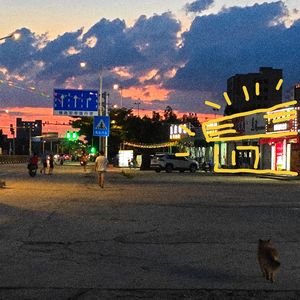 不是所有的牛奶都叫特仑苏