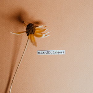 13 Minutes of Guitar