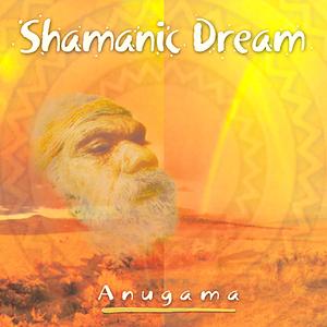 Shamanic Dream