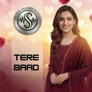 Tere Baad