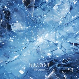 该遗忘的冬季